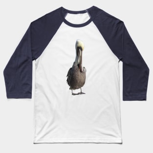 Shy Pelican Baseball T-Shirt